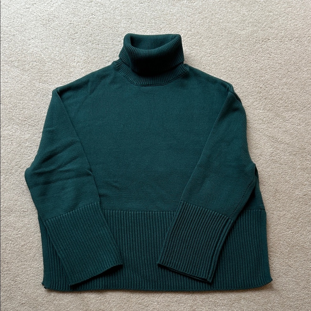 GAP oversized turtleneck sweater NWOT